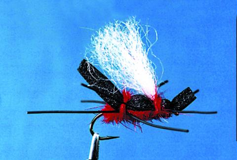 Willy’s Red Ant