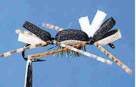 Chernobyl Ant