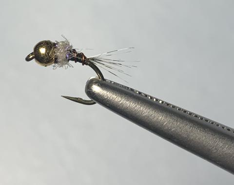 Brown Hackle Peacock - 14 | Jackson Hole Fly Company