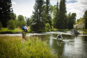 fly-fishing-jackson-hole