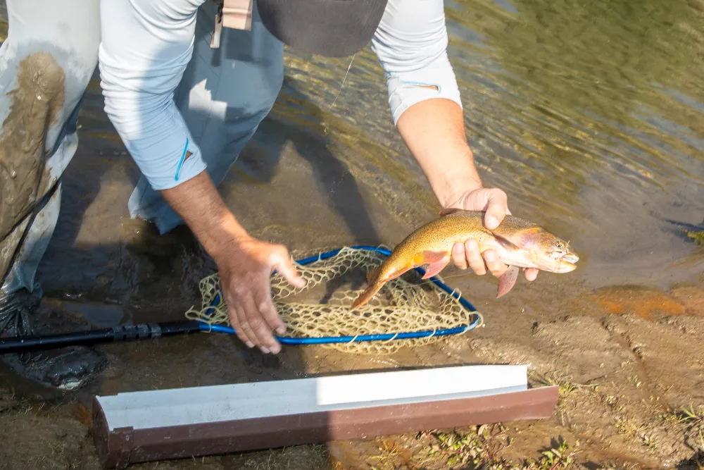 Jackson Hole Conservation Impact