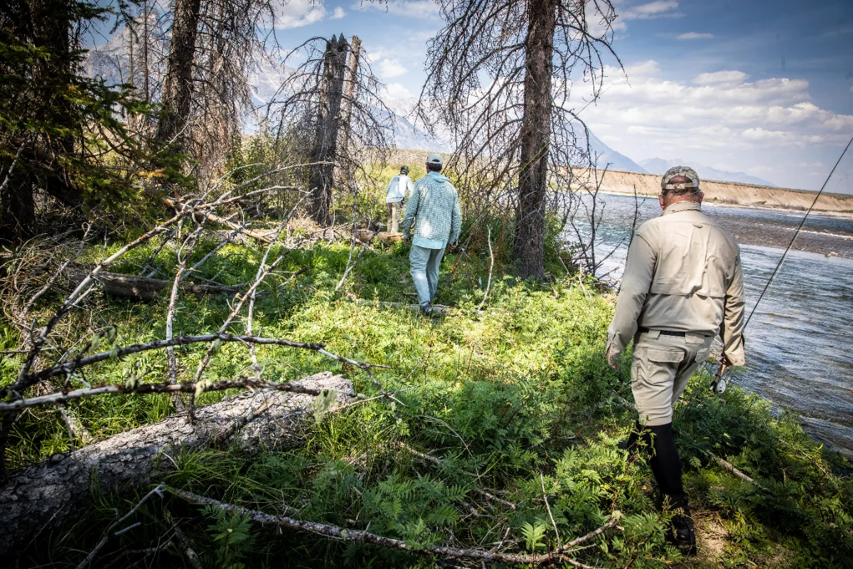 donate-now-in-jackson-hole