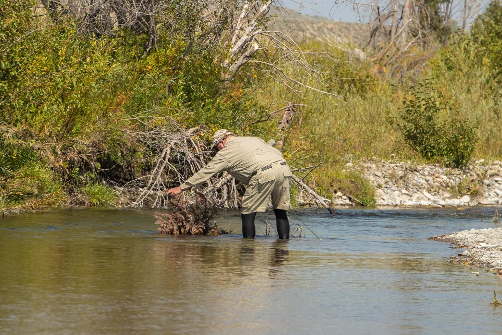 donate-now-in-jackson-hole