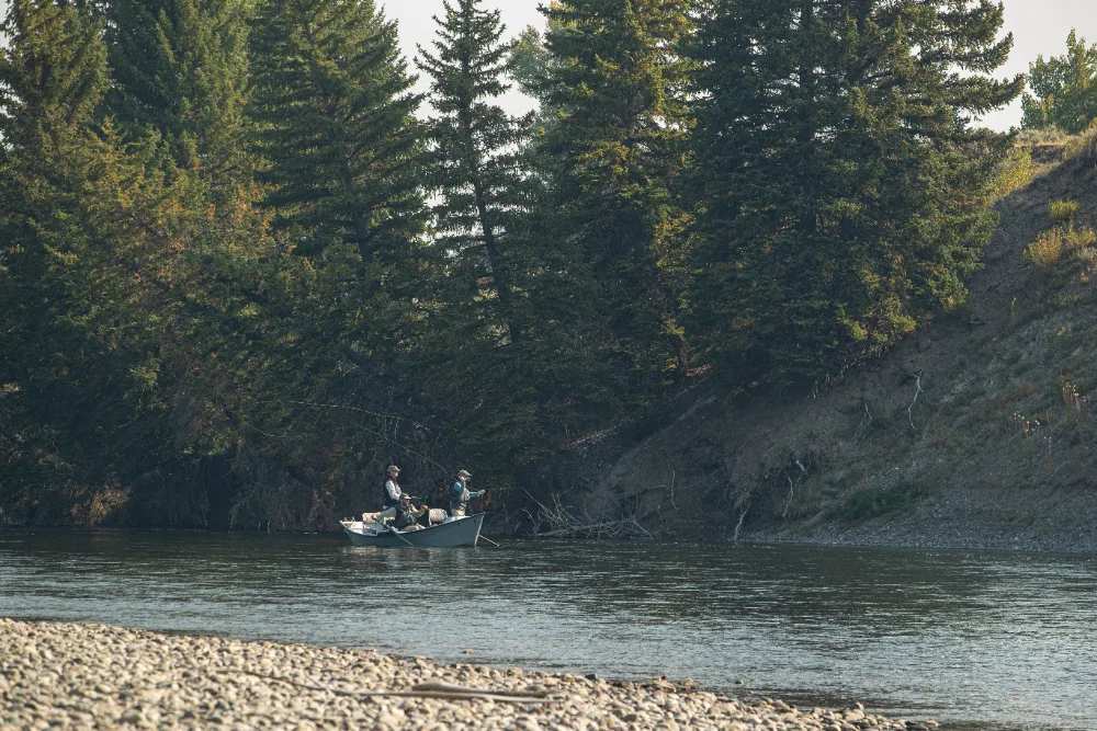 donate-now-in-jackson-hole