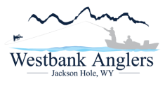 Jackson Hole Conservation Partners