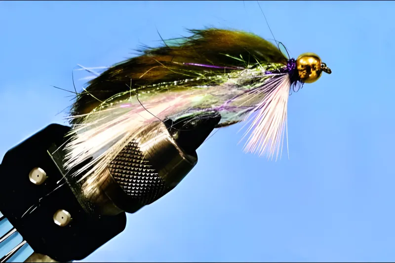 past-events-in-jackson-hole