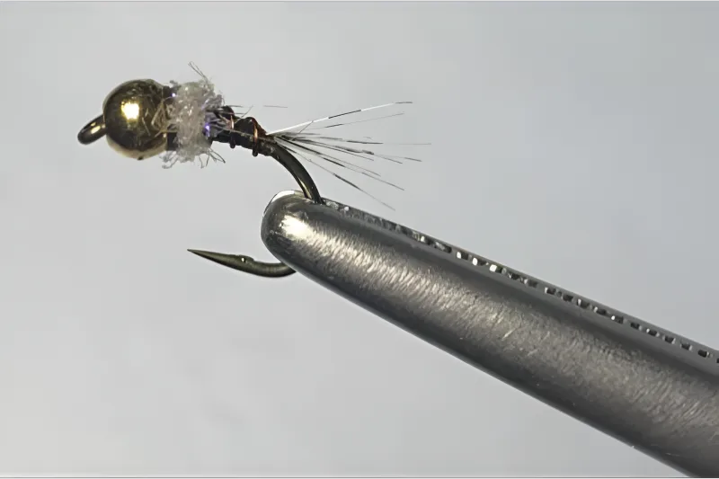 past-events-in-jackson-hole